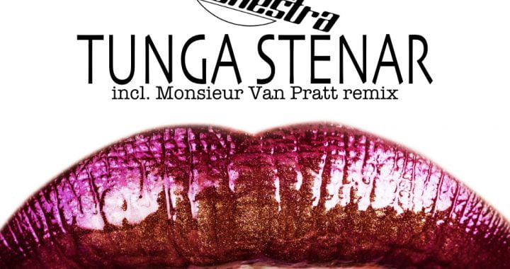 Drop Out Orchestra – Tunga Stenar [Discoholics Anonymous Recordings]